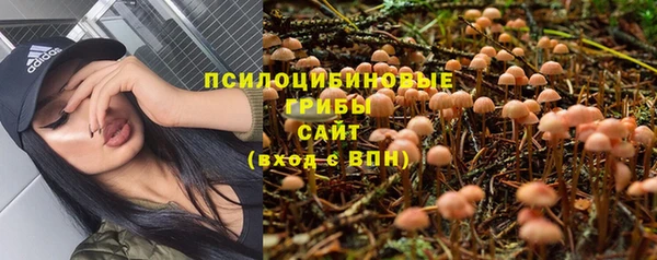 гидропоника Алексин