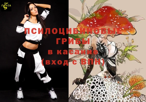 ПСИЛОЦИБИНОВЫЕ ГРИБЫ Алзамай