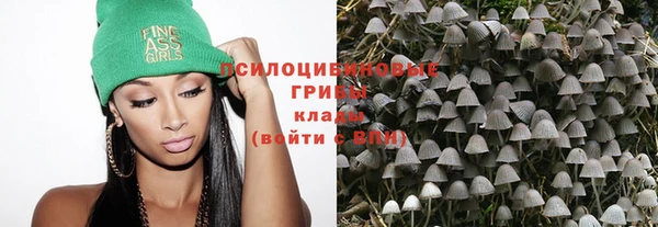 ПСИЛОЦИБИНОВЫЕ ГРИБЫ Алзамай