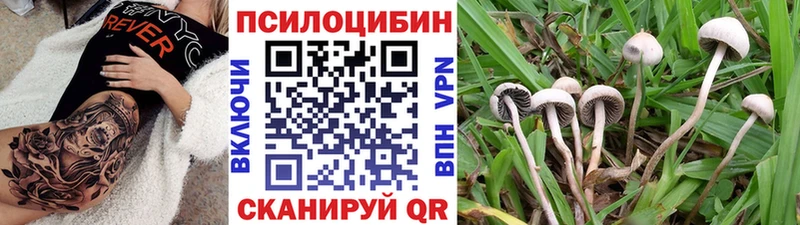 Галлюциногенные грибы Psilocybine cubensis  Азов 